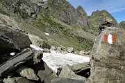 Al Lago Rotondo di Trona e sul Pizzo Paradiso, solo in compagnia degli stambecchi l’8 luglio 2019- FOTOGALLERY